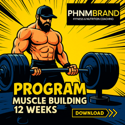 12 Week Muscle Building Workout Plan